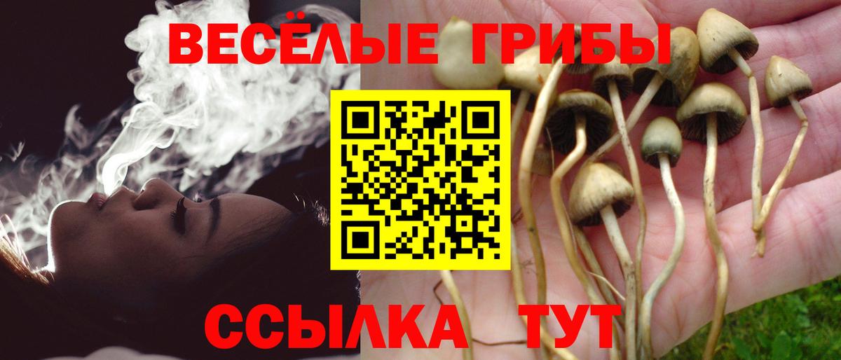 Галлюциногенные грибы MAGIC MUSHROOMS Нефтеюганск